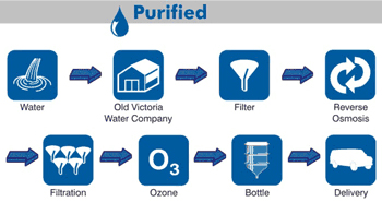 Purified Water Process